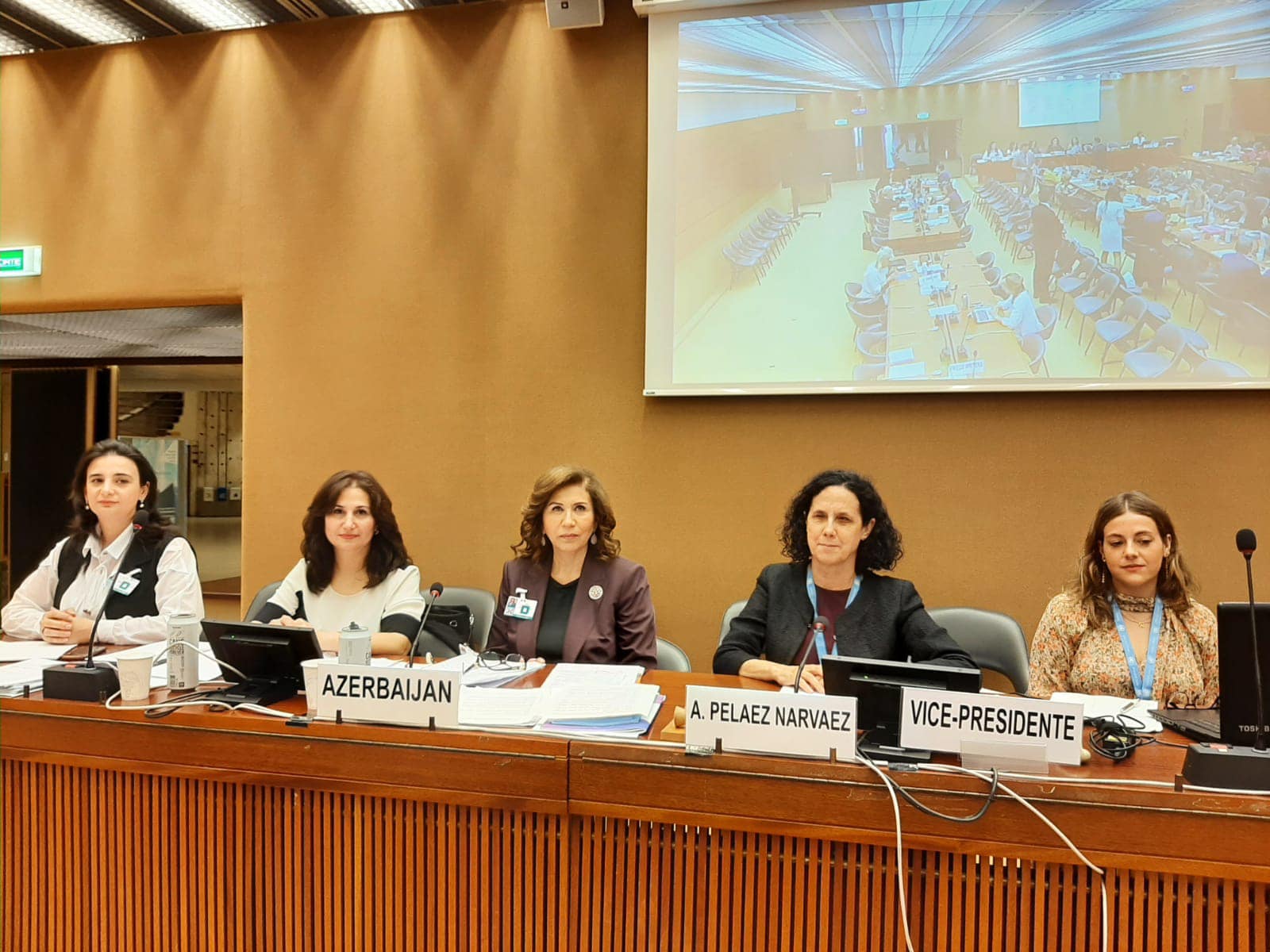 The sixth periodic report on the Convention was presented at the 82nd session of the UN Committee on the Elimination of Discrimination against Women